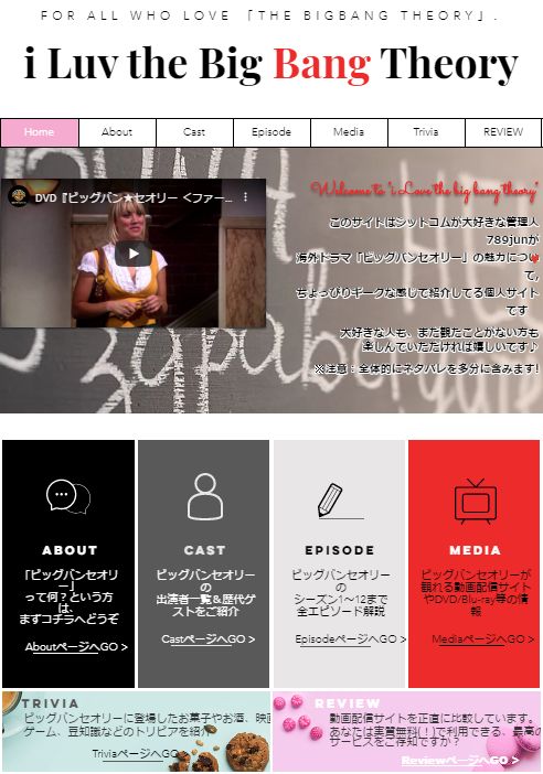 ビッグバンセオリー大好き★